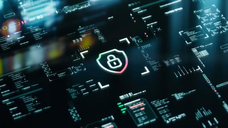 镇宁软件开发公司